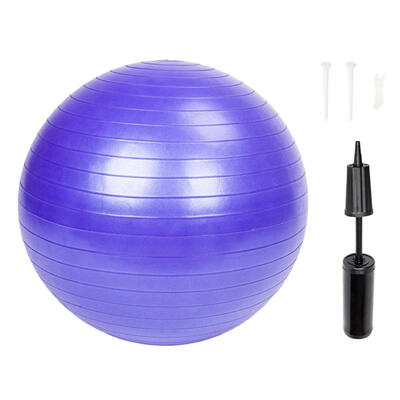 

Sports Yoga Balls Bola Pilates Fitness Gym Balance Fitball Exercise Pump