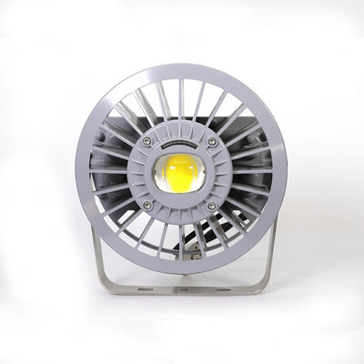 

Tormin LED Explosion Proof Floodlight BC9307S