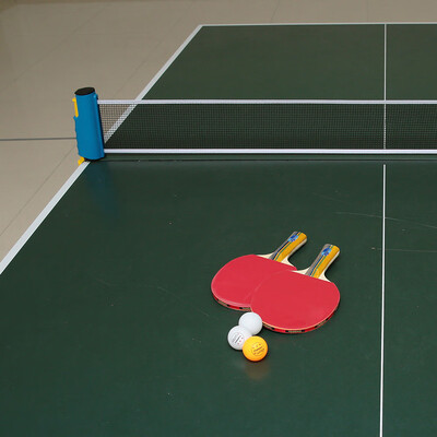 

TOMSHOO Table Tennis Portable Sports To Go Set 1 Pair of Bat 3 Balls 1 Net