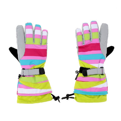 

2Pcs Winter Windproof Thermal Skiing Skating Gloves