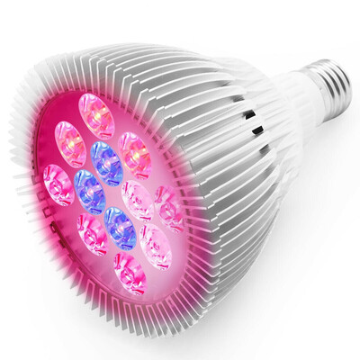 

24 W E27 12 LED Grow Light