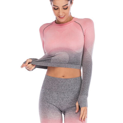 

Women Breathable Fitness Tops Seamless Long Sleeve Crop Tops Quick Drying Workout Shirts for Women