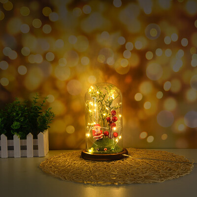 

Siaonvr Wire Lamp Microscopic Scene Ornaments Santa Claus Red Fruit