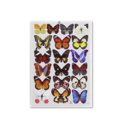 

19Pcs Set 3D Butterfly Wall Stickers Self-Adhesive Pvc Home Wall Decoration Party Wedding Rooms Christmas Decor