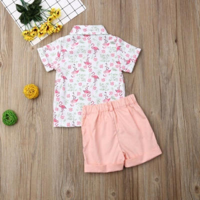 

Summer Toddler Baby Kids Boy Gentleman Outfits Clothes 2PCS Set