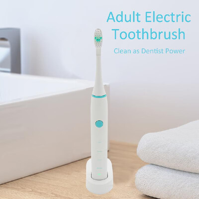 

Adult Electric Toothbrush Clean as Dentist Power Rechargeable Waterproof w 2 Brush Heads for Home Travel Use