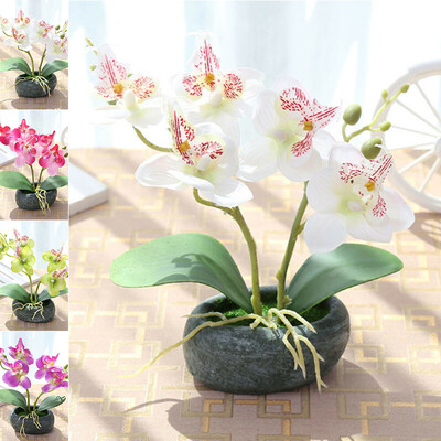

Artificial Flower Butterfly Orchid Potted Garden Wedding Party Home Decoration