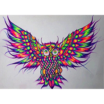 

5D DIY Full Drill Diamond Painting Colorful Bird Cross Stitch Embroidery