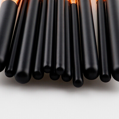 

Gobestart 12pcs Pro Makeup Brushes Set Foundation Powder Eyeshadow Eyeliner Lip Brush Tool