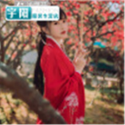 

2018 Hanfu female Bodhisattva Tang suit Qi chest skirt improved Chinese elements costume traditional Hanfu Tang system fresh&e