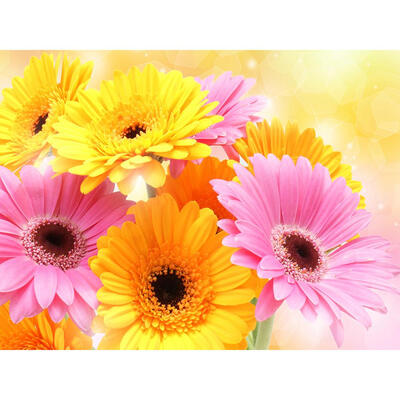 

5D DIY Full Drill Diamond Painting Flowers Cross Stitch Embroidery Mosaic