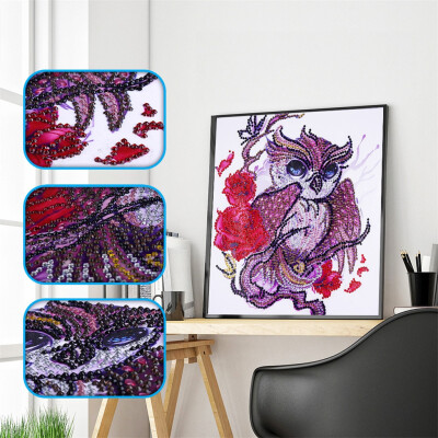 

Gobestart Special Shaped Diamond Painting DIY 5D Partial Drill Cross Stitch Kits Crystal R