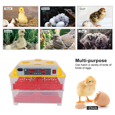 

Ktaxon 72 Eggs Incubator Hatcher Temperature Automatic Turning Peep Hole Chicken Bird