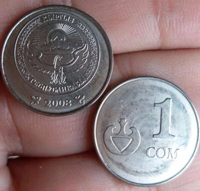 

19mm 1 Som Coin Kyrgyzstan