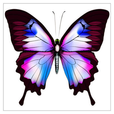 

5D DIY Full Drill Diamond Painting Butterfly Cross Stitch Embroidery Kit