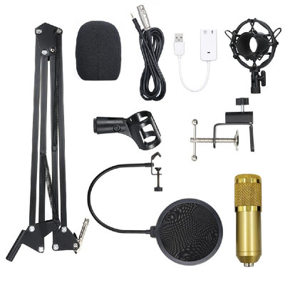 

BM800 Condenser Microphone Lit Pro Audio Studio Recording & Brocasting Adjustable Mic Suspension Scissor Arm Pop Filter