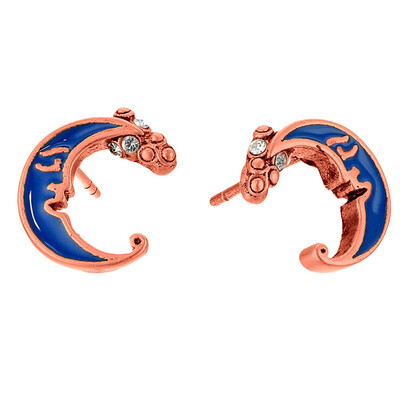

1 Pair Charm Wonderland Blue Enamel Alloy Studs Earrings Rhinestone Romantic Vintage Style Earring Jewelry Accessories