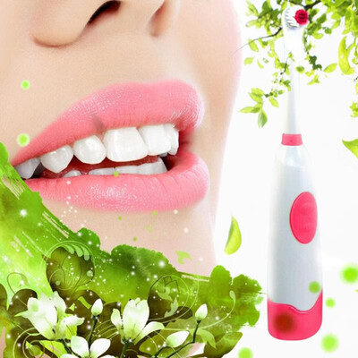 

Rotating Anti Slip Waterproof Electric Toothbrush with 2 Brush Heads