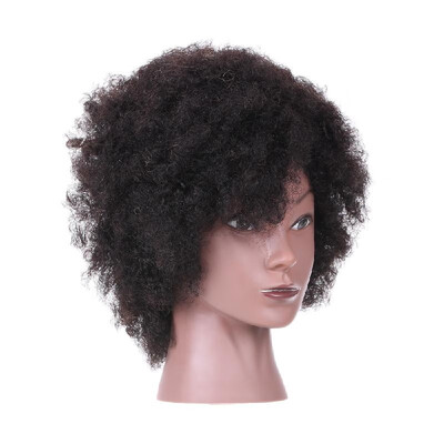 

Afro Mannequin Head Hairdressing Training Head for Practice Styling Braiding African American Dummy Head with 100 Human Hair Blac