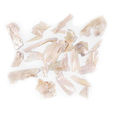 

1 Box Natural Shell Piece Multicolor Fragments Nail Patch Nail Art Decor