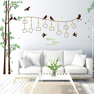 

New Family Tree Bird Photo Frame Removable Decal Wall Sticker Art Home Decor