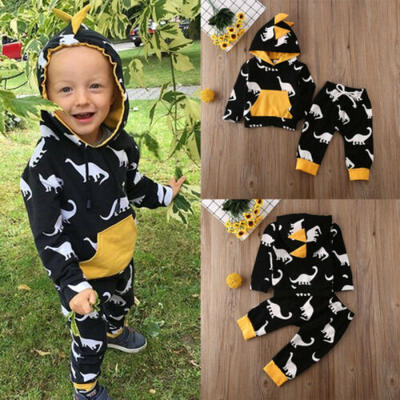 

Newborn Baby Boy Girl Dinosaur Clothes Hoodie Tops Pants Leggings Outfits Set US