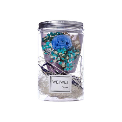 

Eternal Rose Dried Gypsophila Flower Bottle Night Light Home Decor Valentines Day Gift