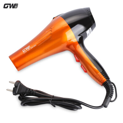 

Guowei GW - 695 Powerful Electric Portable Traveller Compact Hair Dryer