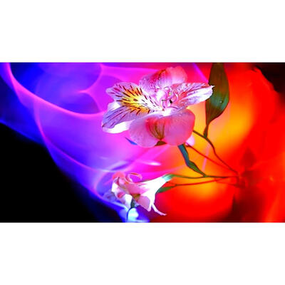 

5D DIY Full Drill Diamond Painting Pink Flower Cross Stitch Embroidery Kits