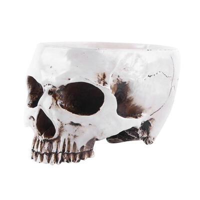 

Resin Skull Flowerpot Model Flowers Pots Ornaments Home Plants Decoration