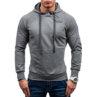 

Raglan Sleeves Tiger Figure Embroidery Casual Hoodie