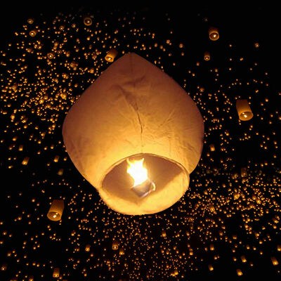

50 White Paper Chinese Lanterns