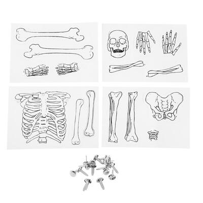 

Kids Toddlers Puzzle Toy DIY Human Skeleton Model Learning Early Education