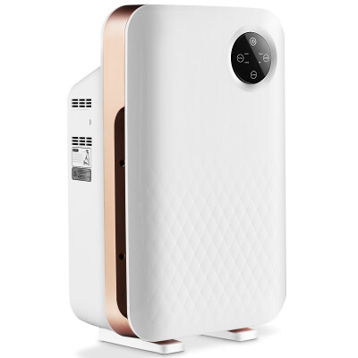 

Air Purifier with True HEPA Activated Carbon Filter