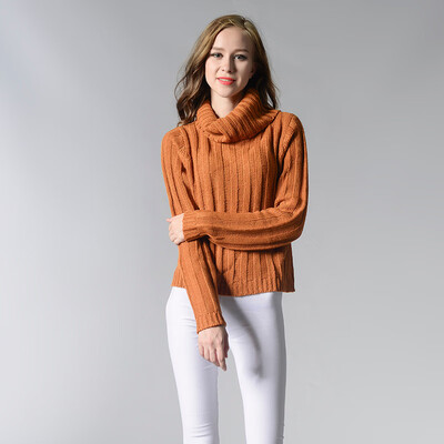 

PREISEI Autumn Winter Casual Elegant Solid Warm Turtleneck Knitted Thick Long Sleeve Pullover Mujer Sweater Top Women