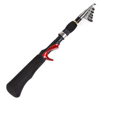 

Saidsome Portable Telescopic Mini Pen Fishing Rod & Reel Sea Travel Fishing Rod Pocket fishing bait fishing lure
