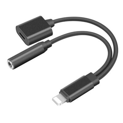 

Portable Universal 2-in-1 Lightning Male To Lightning Female And 35mm Audio Cable Cord-12cm