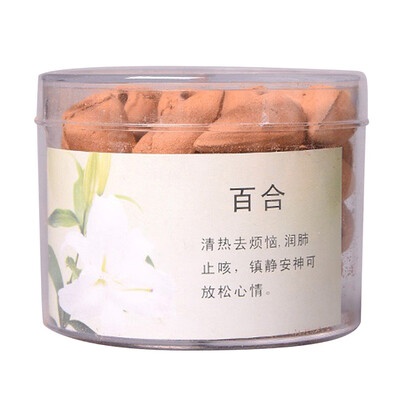 

Siaonvr 1 Box About 40pcs Retro Handmade Porcelain Ceramic Backflow Incense Burner Buddh