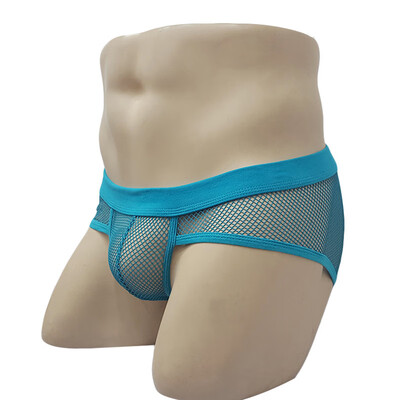 

Men Knickers Thongs Mesh Underwear Bulge Pouch Elastic Low Waist Triangle Briefs