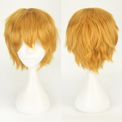 

〖Follure〗Multi Color Short Straight Hair Wig Anime Party Cosplay Full sell Wigs 35cm