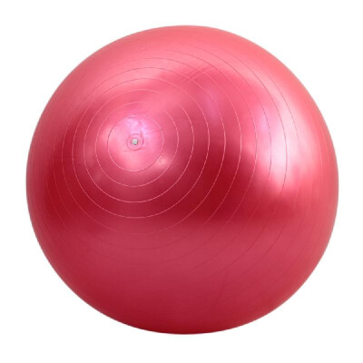 

85cm Fitness Exercise Gym Fit Yoga Core Ball Multi-use Indoor Fitness Training Yoga Ball