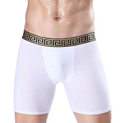 

Mens Long Leg Boxer Briefs Cotton Performance Cool Dry Underwear