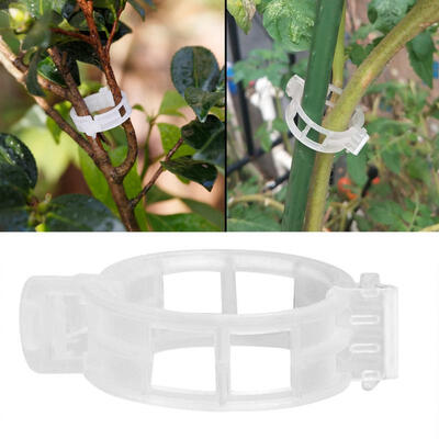 

Greensen 50pcs Plant Support Clips Flowers Upright Tomato Vegetable Garden Hanger