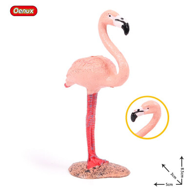 

Oenux Original Paradise Birds Flamingos Ara Seagull Pelican Snowy Owl Figurines High Quality PVC Animal Action Figure Child Toy