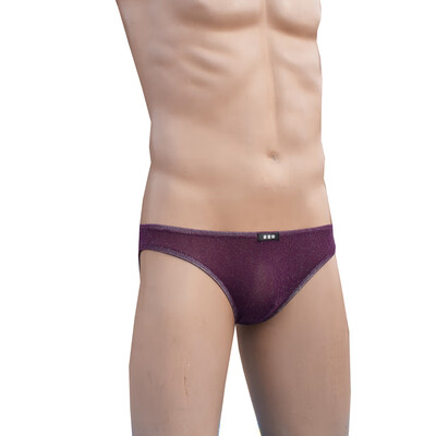 

Men Mesh See Through Bikini Knickers Triangle Briefs Soft Thin Sexy Underpants