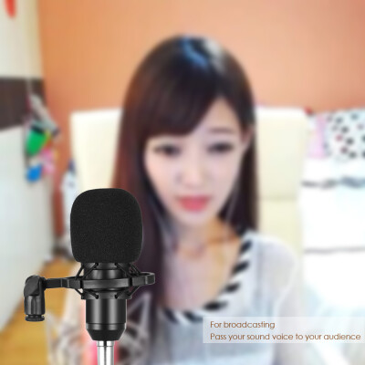 

BM800 Wired Condenser Microphone Studio Sound Professional Recording Device Live Broadcasting Mic with Shock Mount Sponge Protecto