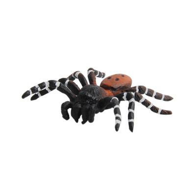 

Tailored Educational Science Toy Simulated Spider Model Toy For Kids Children