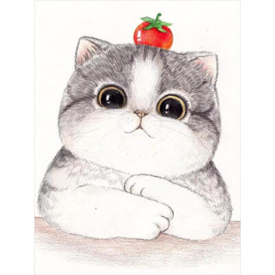 

DIY Diamond Painting Tomato Cat Cross Stitch Embroidery Mosaic Kit Decor