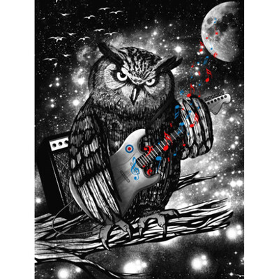

5d Diamond Painting Owl Diamond Mosaic Sale Rhinestone Picture Embroidery Diamond Full Square New Arrival