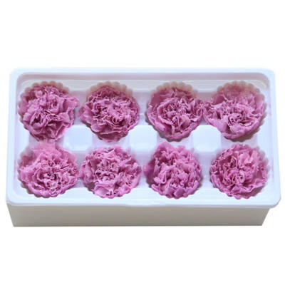 

Handmade Preserved Fresh Flowers Gift Pack Immortal Flower Eternal Carnation Heads for Gift